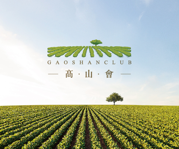 如何在品牌VI設計中考慮用戶界面和交互設計？